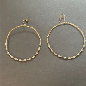 Lana 14k and Sterling silver hoops